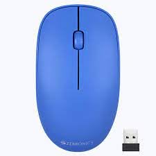 mouse